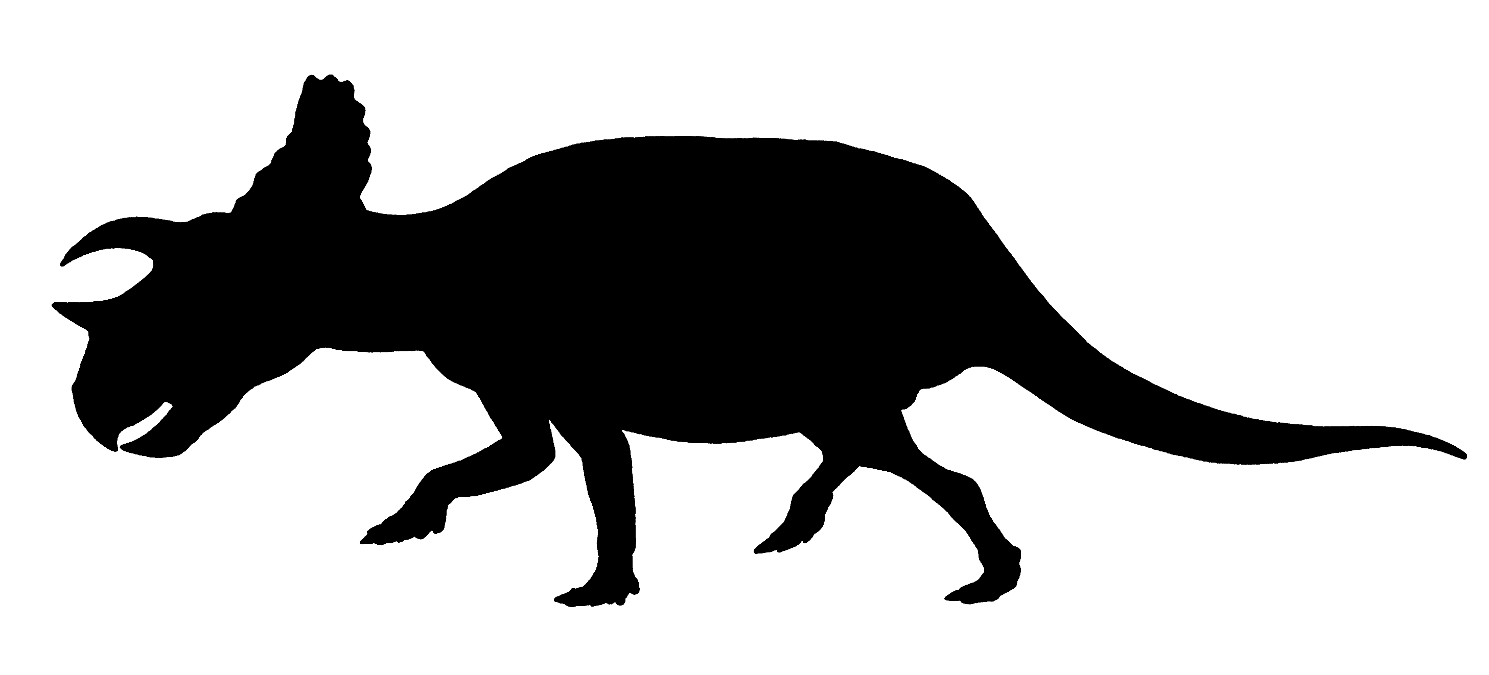Avaceratops lammersi — skeletal reconstruction under revision (placeholder silhouette).
