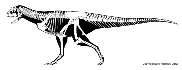 Skeletal reconstruction of Carnotaurus sastrei in left lateral view, showing the deep skull and greatly reduced arms