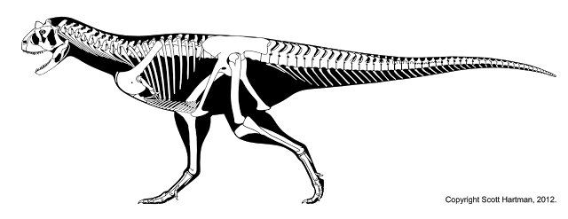 Skeletal reconstruction of Carnotaurus sastrei in left lateral view, showing the deep skull and greatly reduced arms