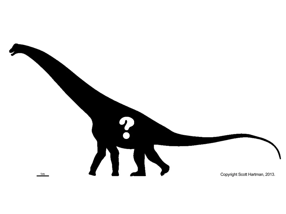 Black silhouette of a long-necked sauropod in left lateral view with a white question mark on its body and a 1-metre scale bar