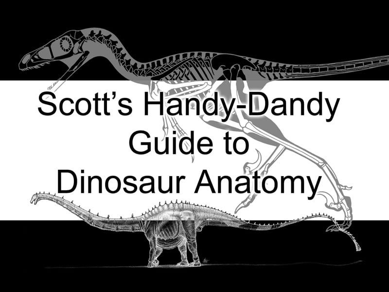A black and white cover image featuring images of dinosaur anatomy, and the phrase "Scott's Handy-Dandy Guide to Dinosaur Anatomy."