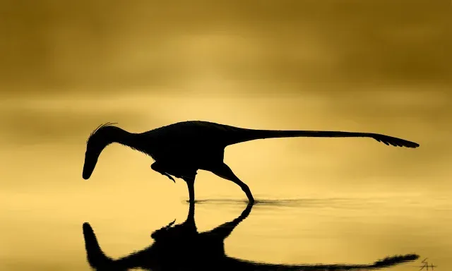 Life reconstruction painting of Unenlagia in silhouette, lowering its head to the water at golden dawn with its reflection below