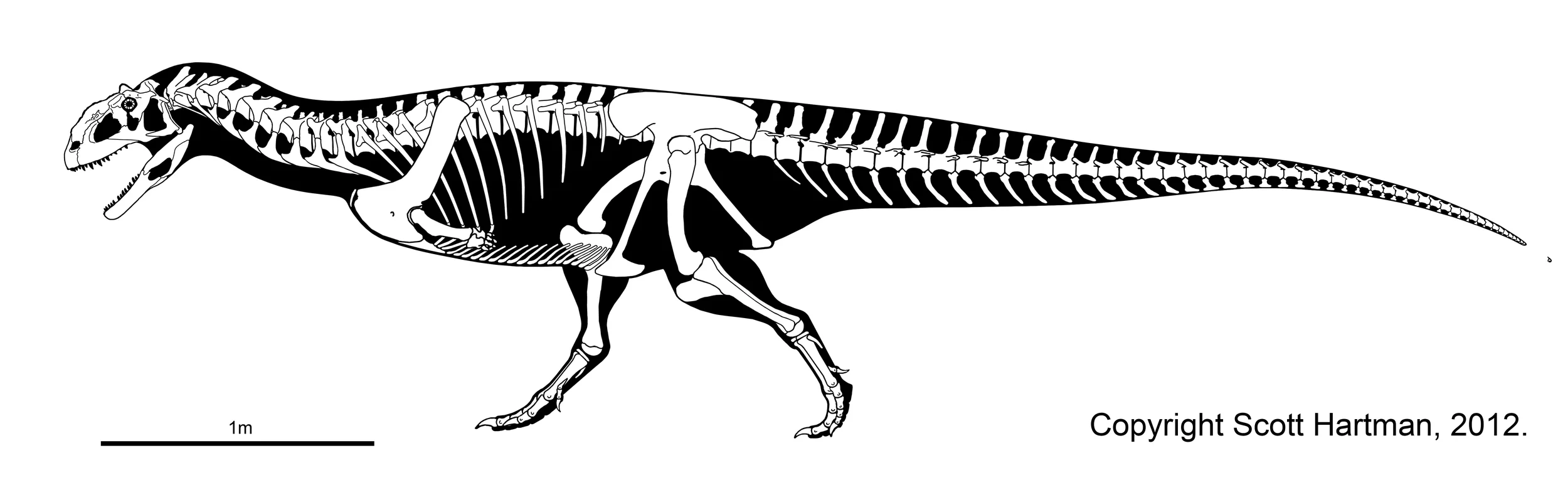 Majungasaurus