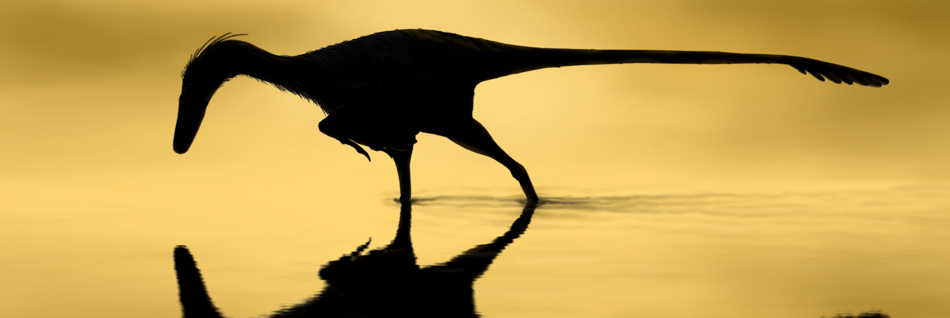 Silhouette of a feathered theropod wading at golden hour