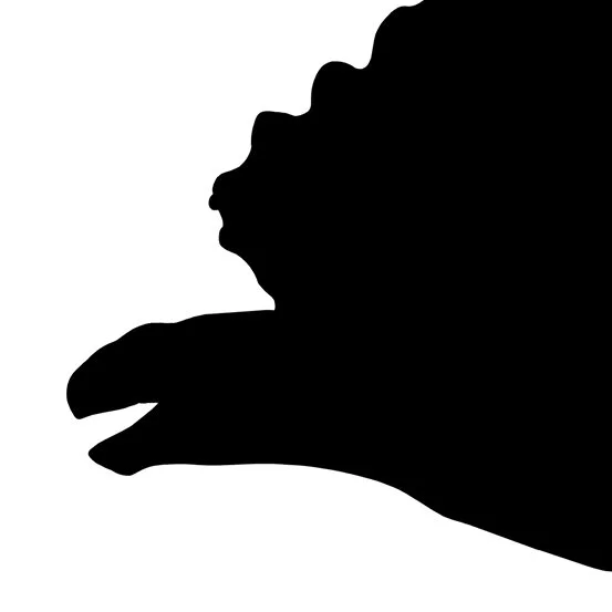 Black silhouette of a frilled, beaked ceratopsian dinosaur head in profile