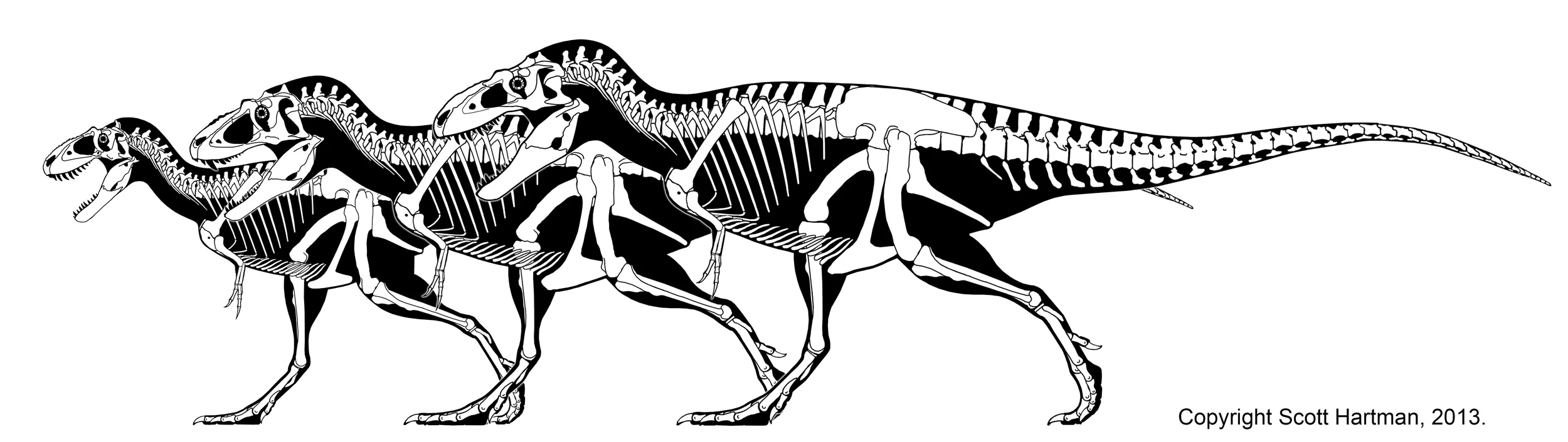 From left to right: Teratophoneus, Lythronax, & Bistahieversor