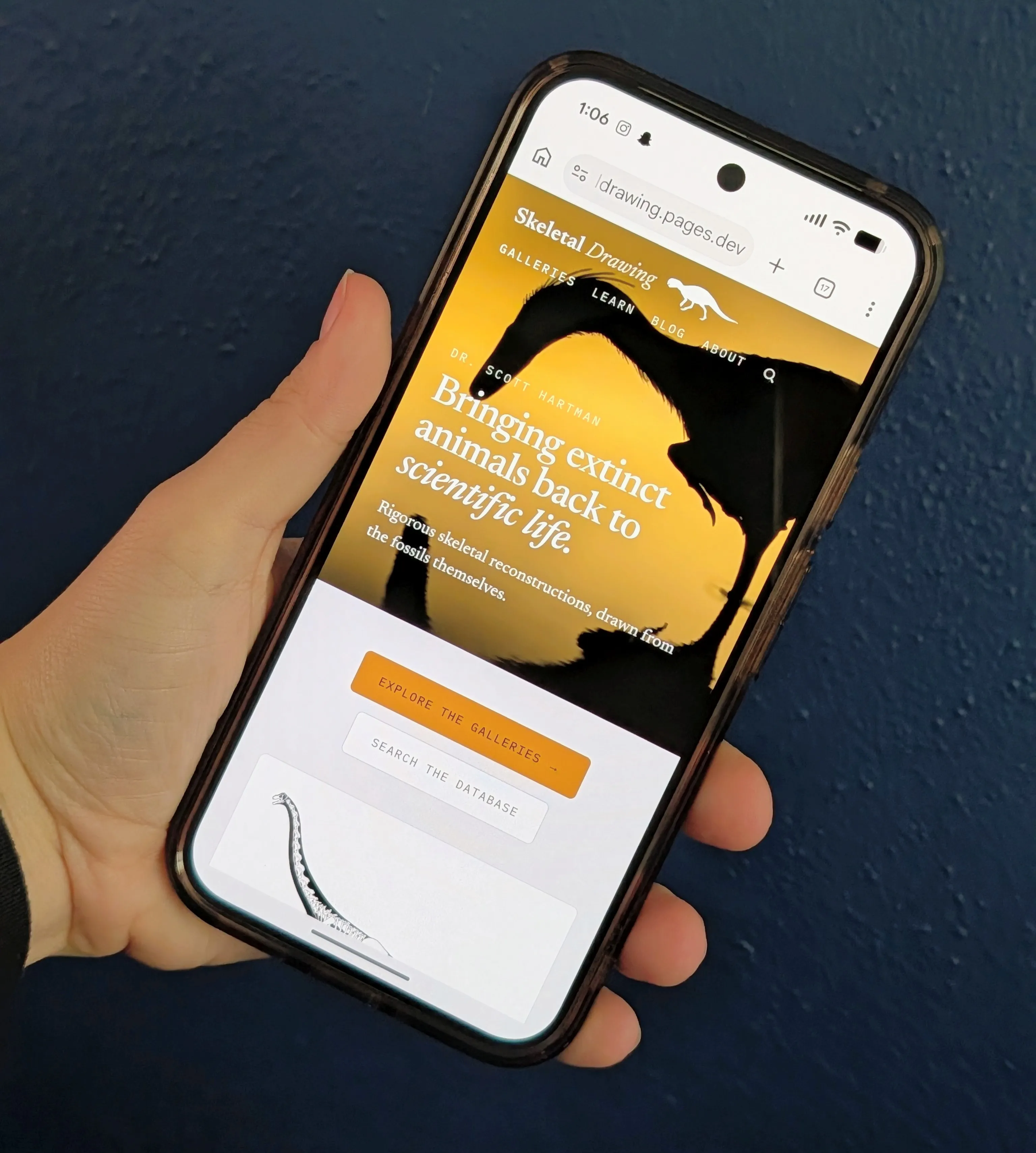 A close up of a hand holding a smartphone, showing off the new mobile experience of this website