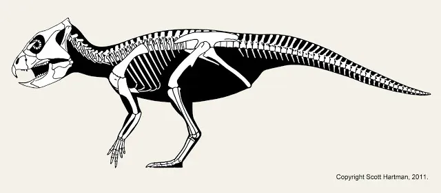 Skeletal reconstruction of the ceratopsian Archaeoceratops in left lateral view standing in a neutral pose