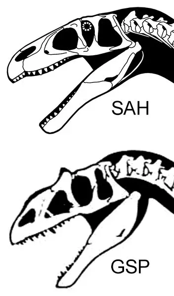 The restored skulls of Eustreptospondylus, “SAH” is mine, “GSP” is copyright Greg Paul (from his 1988 Predatory Dinosaurs of the World).