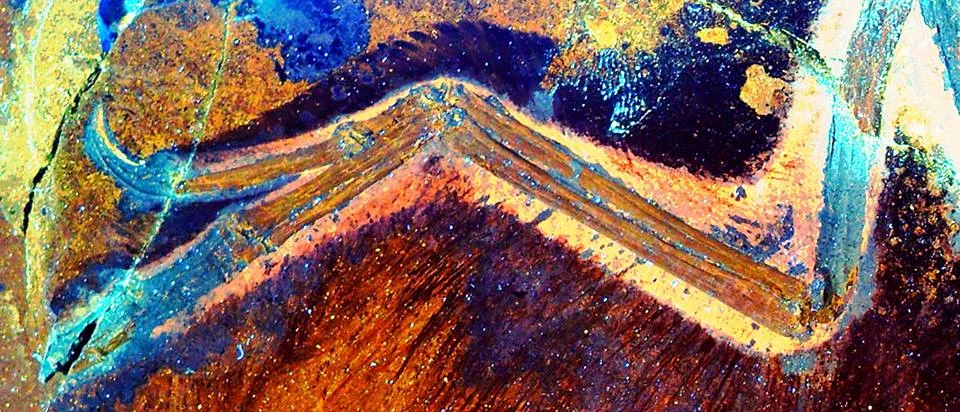 Laser-fluorescence image of the Anchiornis arm and thumb claw, glowing orange and blue, revealing soft-tissue detail