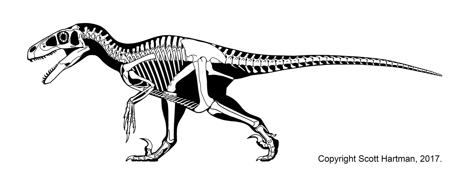 Here is Utahraptor, in all of its crazy, robust goodness!