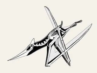 The same pterosaur skeletal digitally reposed into a bipedal running pose with wings raised