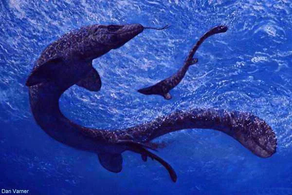 A "traditional" serpentine mosasaur, copyright Dan Varner