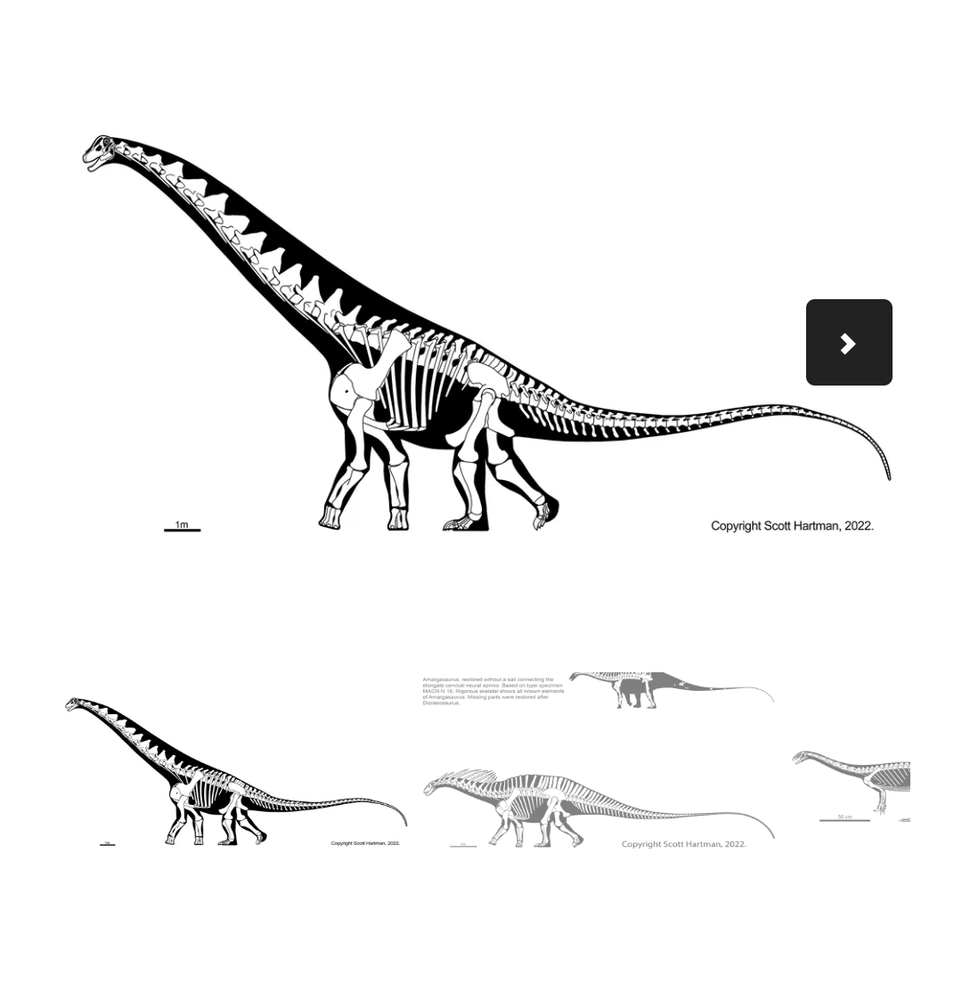 A view of the old sauropod gallery, as seen on a phone browser.