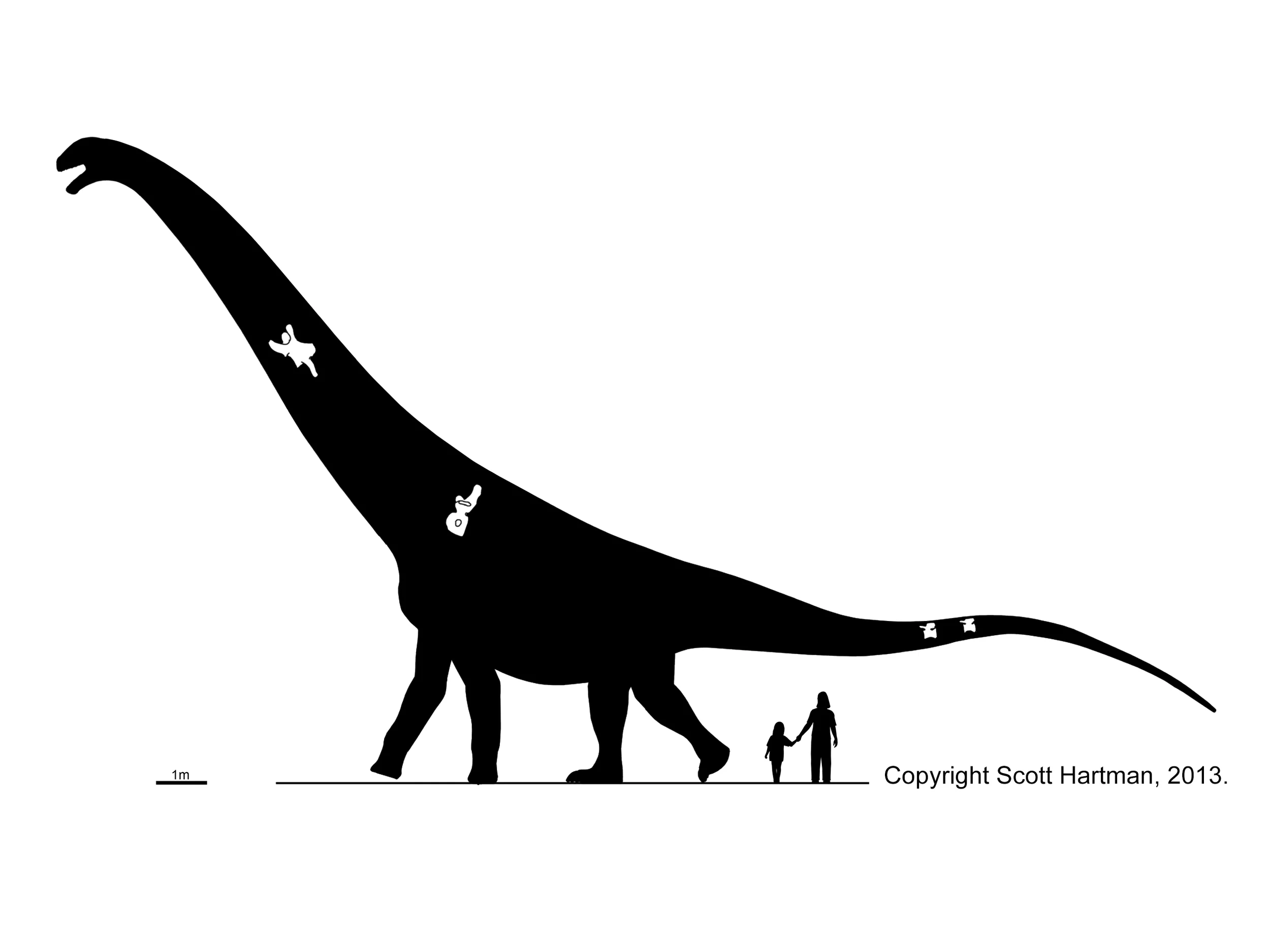 Black silhouette of a very long-necked sauropod in left lateral view, with a human adult and child shown for scale