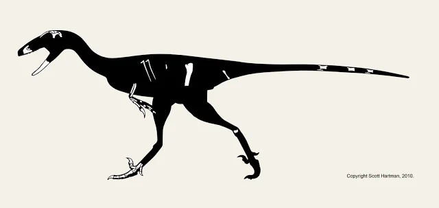 Known-material diagram of Troodon as a black lateral silhouette with only the scrappy preserved bones shown in white